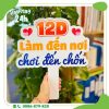 hashtag_40_nam_ngay_tro_ve (9)