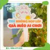 hashtag_20_nam_ngay_tro_ve (5)