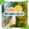 hashtag_20_nam_ngay_tro_ve (8)