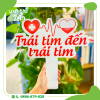 hashtag_hien_mau_hashtag24h