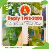hashtag_hop_lop_30_nam_ngay_tro_ve (4)